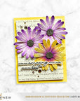 Altenew - 3D Embossing Folder & Dies -Lush Botanicals: African Daisy-ScrapbookPal