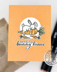 Hero Arts - Clear Stamps & Dies - Spring Bunny-ScrapbookPal