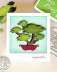 Hero Arts - Fancy Dies - Bonsai-ScrapbookPal