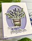 Honey Bee Stamps - Clear Stamps - Get Well Soon-ScrapbookPal