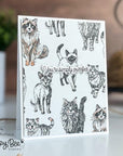 Honey Bee Stamps - Cling Stamps - Paws & Purrs-ScrapbookPal
