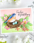 Honey Bee Stamps - Honey Cuts - Lovely Layers: Spring Birds-ScrapbookPal