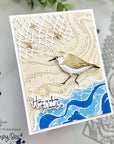 Honey Bee Stamps - Honey Cuts - Netting A2 Cover Plate-ScrapbookPal