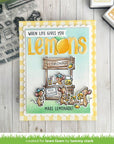 Lawn Fawn - Clear Stamps - Make Lemonade!-ScrapbookPal