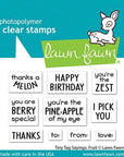 Lawn Fawn - Clear Stamps - Tiny Tag Sayings: Fruit-ScrapbookPal