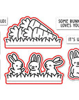 Lawn Fawn - Lawn Cuts - Hay There, Hayrides! Bunny Add-On-ScrapbookPal