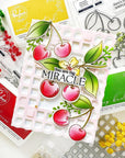 Pinkfresh Studio - Dies - Cherry Bliss-ScrapbookPal
