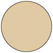 Ranger Ink - Tim Holtz - Distress Oxide Re-Inker - Antique Linen-ScrapbookPal
