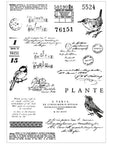Sizzix - 49 and Market - Clear Stamps & Framelits Dies - Bird Song-ScrapbookPal