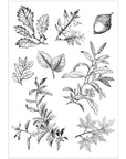 Sizzix - 49 and Market - Clear Stamps & Framelits Dies - Forever Leaves-ScrapbookPal