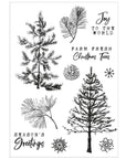 Sizzix - 49 and Market - Clear Stamps & Framelits Dies - Pine Holidays-ScrapbookPal