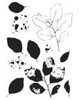 Sizzix - 49 and Market - Framelits Dies w/Stamps - Painted Pencil Leaves -ScrapbookPal