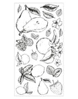 Sizzix - Clear Stamps - Botanical Fruit-ScrapbookPal