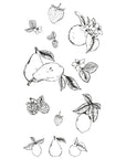 Sizzix - Clear Stamps - Botanical Fruit