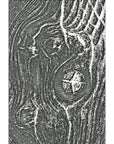 Sizzix - Tim Holtz - 3-D Texture Fades Embossing Folder - Woodgrain-ScrapbookPal