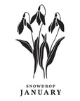 Spellbinders - Florals Through the Year Collection - Press Plates - January Snowdrop-ScrapbookPal