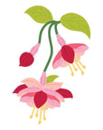 Spellbinders - Magical Fuschia Collection - Dies - Magical Fuchsia-ScrapbookPal