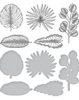 Spellbinders - Propagation Garden Collection - Press Plate & Dies - Tropical Leaves-ScrapbookPal