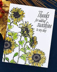 Spellbinders - Serenade of Autumn Collection - Press Plate - Sunflower Field-ScrapbookPal