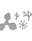 Spellbinders - Summer Solstice Garden Collection - Dies - Anemone-ScrapbookPal