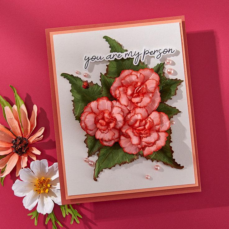 Spellbinders - Summer Solstice Garden Collection - Press Plates & Dies - Summer Solstice Garden Sentiments-ScrapbookPal