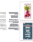 Spellbinders - Summer Solstice Garden Collection - Press Plates & Dies - Summer Solstice Garden Sentiments-ScrapbookPal