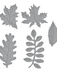 Spellbinders - The Birds & Bees Garden Collection - Dies - Autumn Foliage-ScrapbookPal