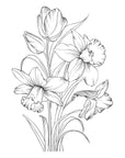 Spellbinders - Yana's Tulips Collection - Letterpress + Foil Plate - Tulips and Daffodils-ScrapbookPal