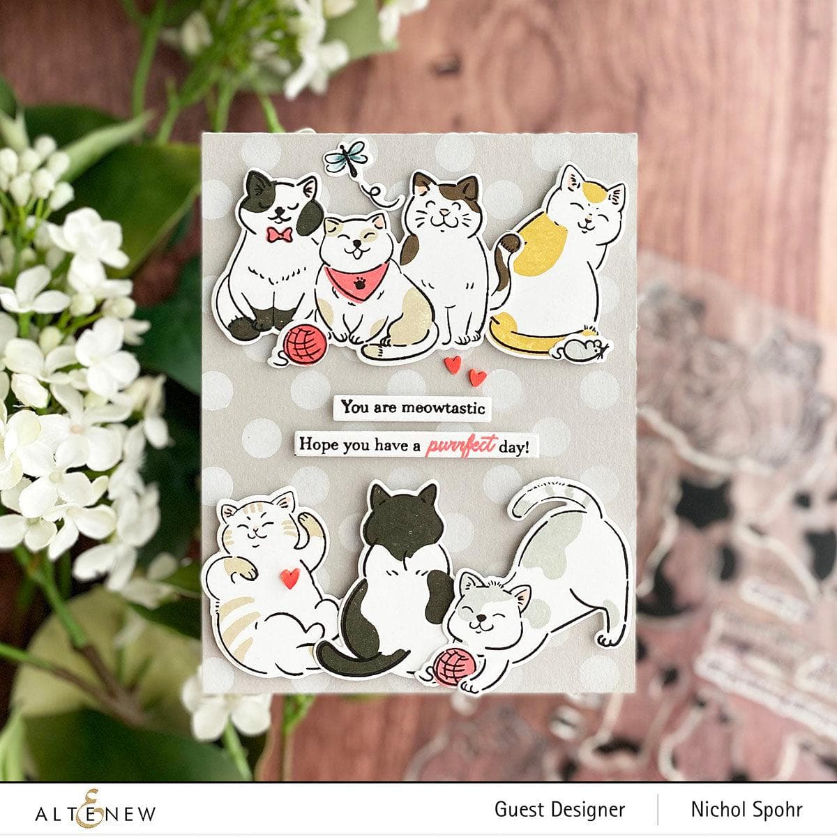 Altenew - Clear Stamps - Cat Life-ScrapbookPal