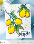 Altenew - Enamel Dots - Fruity Colors-ScrapbookPal