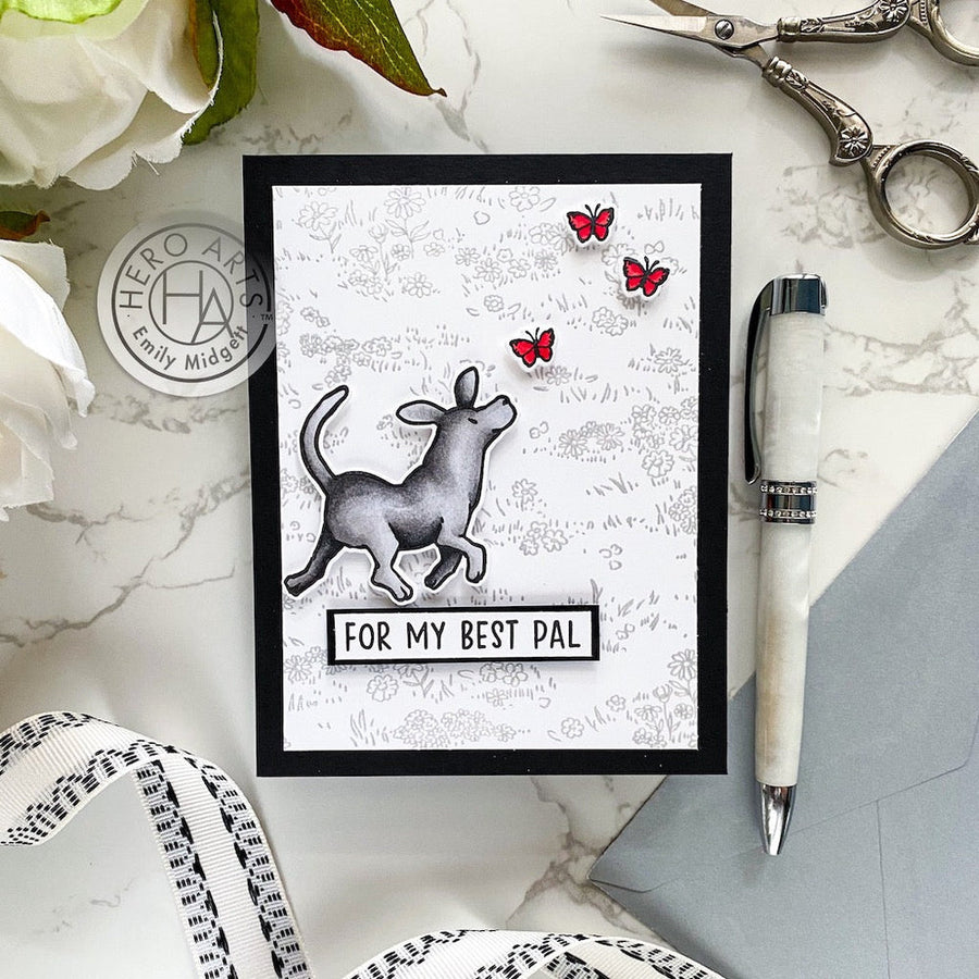 Hero Arts - Clear Stamps & Dies - Playful Pets