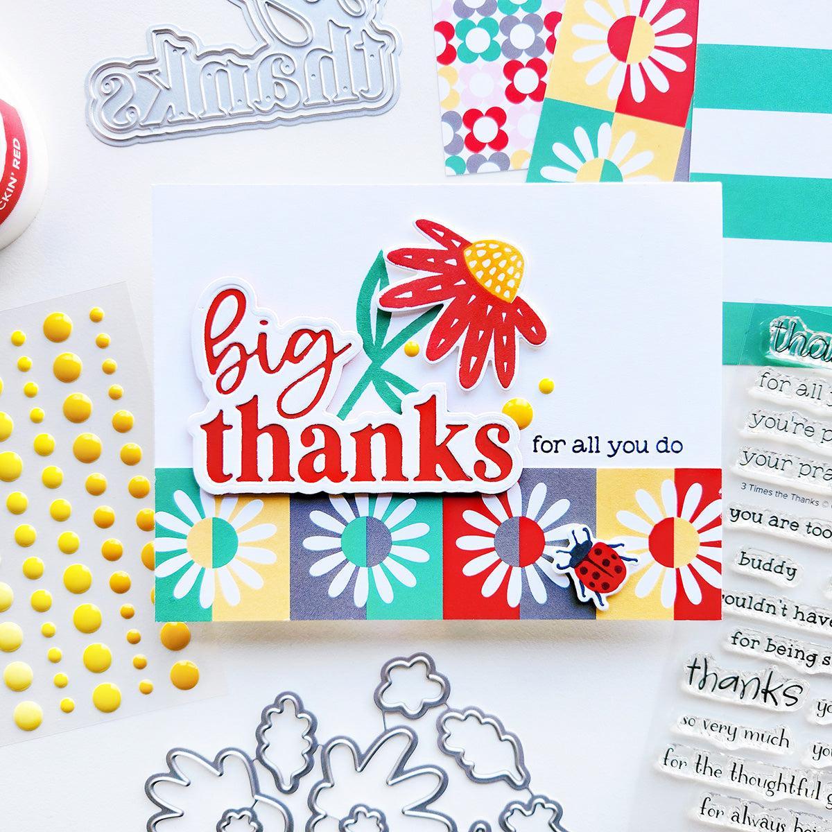 Catherine Pooler Designs - Clear Stamps - 3 Times the Thanks Sentiments-ScrapbookPal