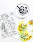 Catherine Pooler Designs - Clear Stamps - Fall Flourishes-ScrapbookPal