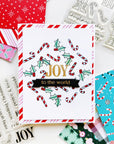 Catherine Pooler Designs - Clear Stamps - Holiday Joy Sentiments-ScrapbookPal