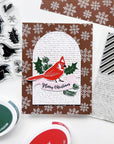 Catherine Pooler Designs - Dies - Birds & Boughs-ScrapbookPal