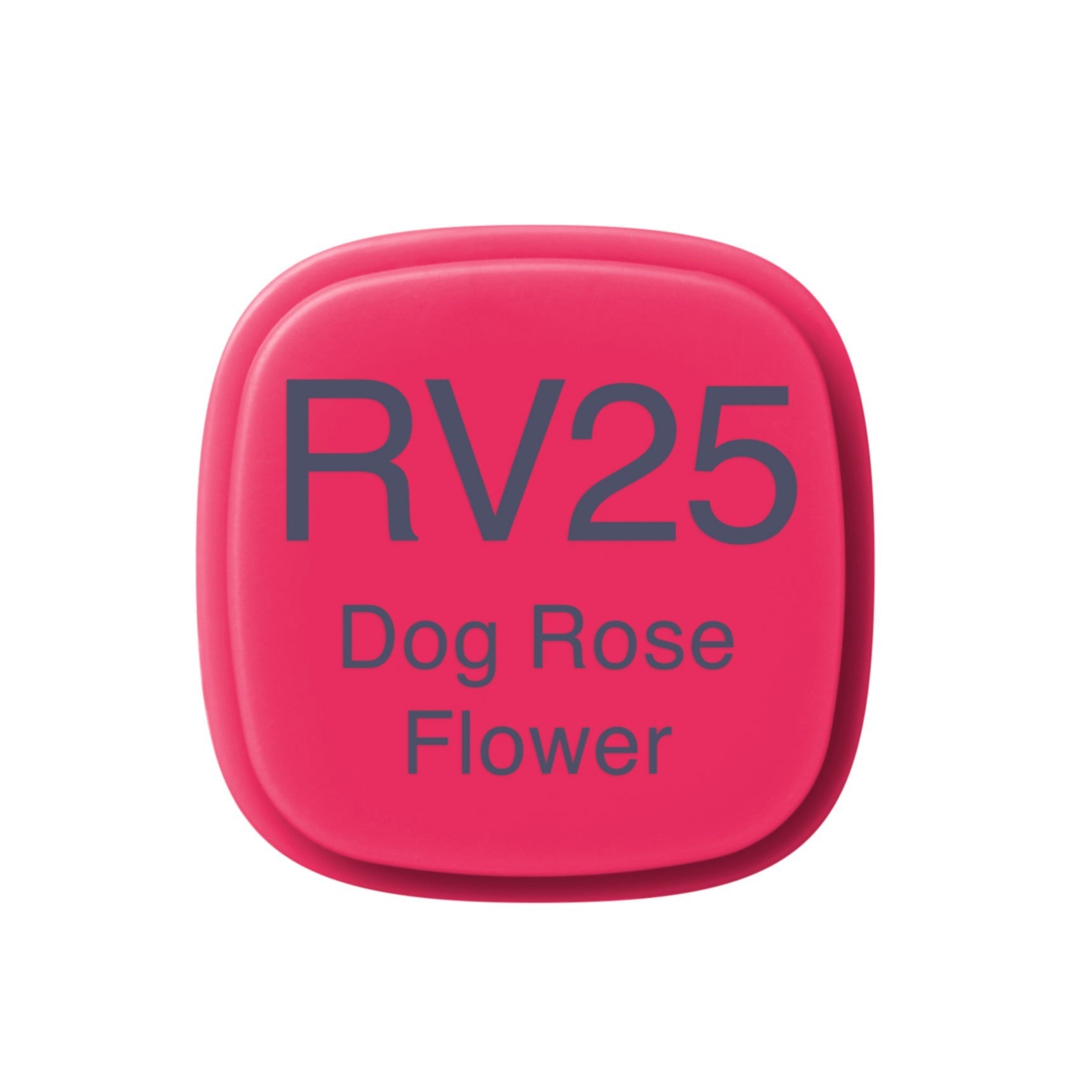 Copic - Original Marker - Dog Rose Flower - RV25-ScrapbookPal