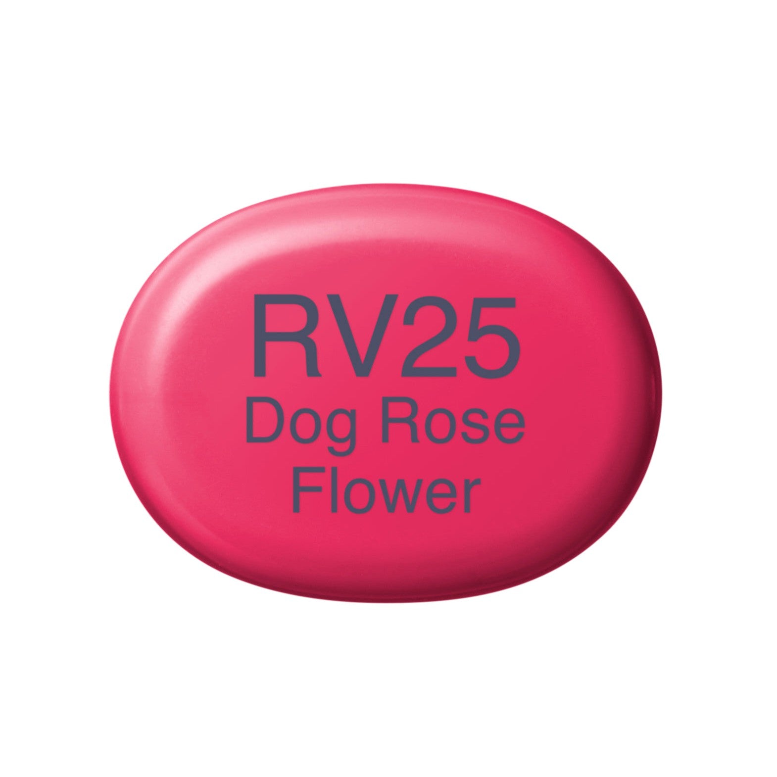 Copic - Sketch Marker - Dog Rose Flower - RV25-ScrapbookPal