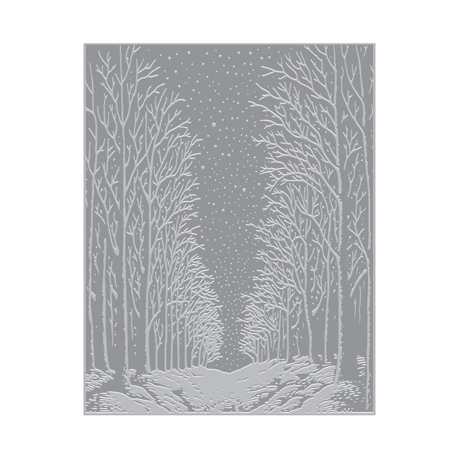 Hero Arts - Letterpress & Foil Plate - Snowy Night