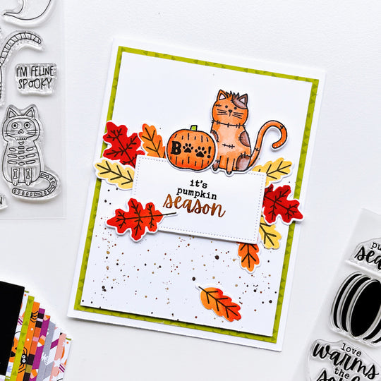 Catherine Pooler Designs - Clear Stamps - Happy Meowloween