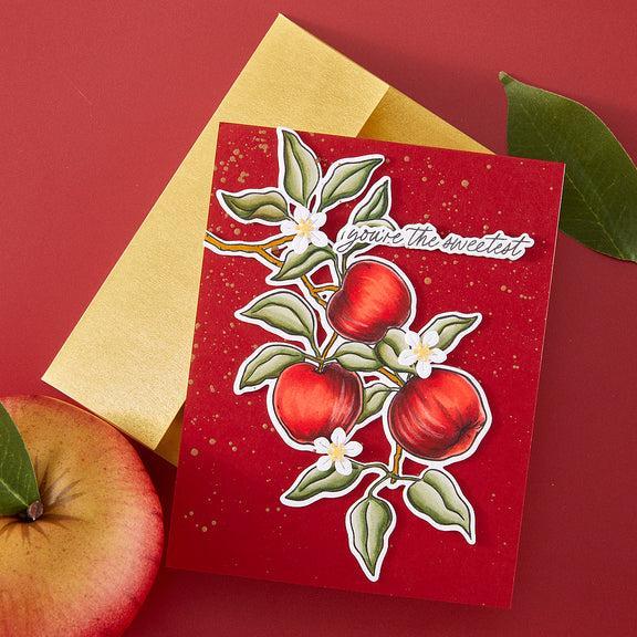 Hero Arts - I Pick You Collection - Stamp & Cut - Apple Branch-ScrapbookPal