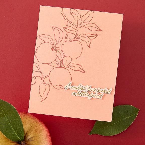 Hero Arts - I Pick You Collection - Stamp & Cut - Apple Branch-ScrapbookPal
