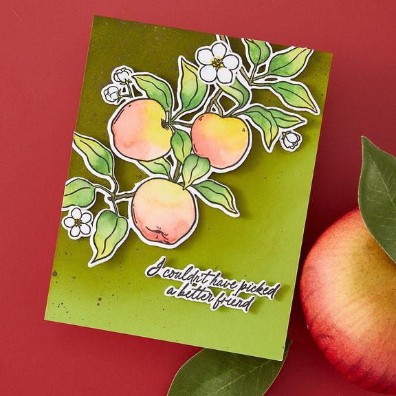 Hero Arts - I Pick You Collection - Stamp & Cut - Apple Branch-ScrapbookPal