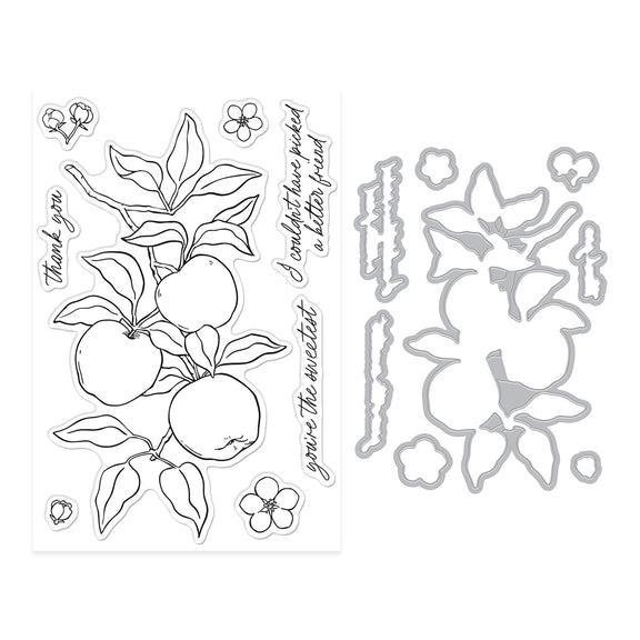 Hero Arts - I Pick You Collection - Stamp & Cut - Apple Branch-ScrapbookPal
