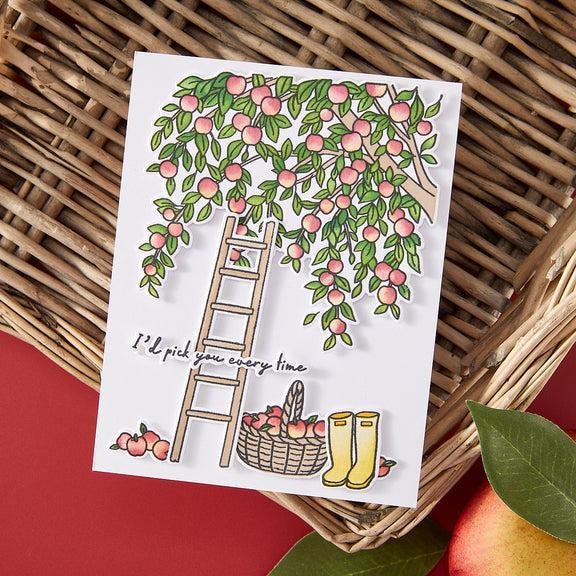 Hero Arts - I Pick You Collection - Stencils - Color Layering In The Orchard-ScrapbookPal