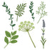 Honey Bee Stamps - Honey Cuts - Lovely Layers: Spring Greenery-ScrapbookPal