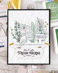 Pinkfresh Studio - Stencils - Herb Garden-ScrapbookPal