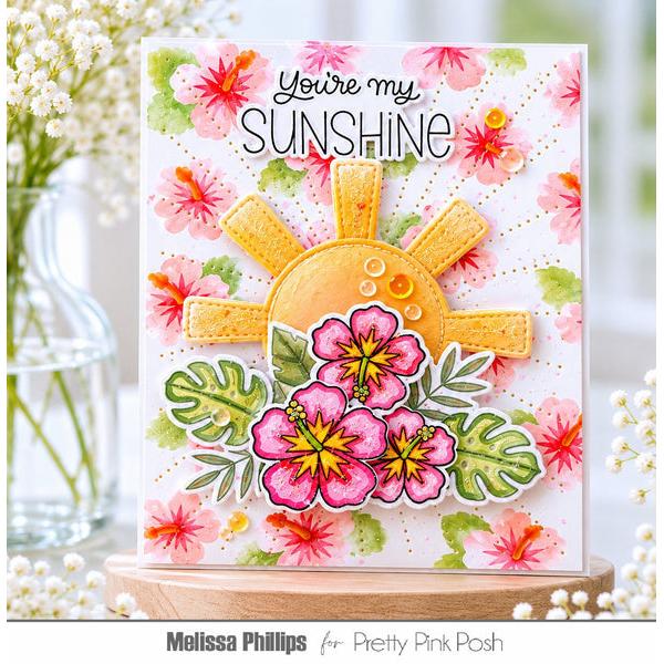 Pretty Pink Posh - Clear Stamps - Happy Summer-ScrapbookPal