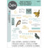 Sizzix - 49 and Market - Clear Stamps & Framelits Dies - Bird Song-ScrapbookPal