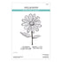 Spellbinders - Beautifully Imperfect Collection - Clear Stamps & Dies - Sculpted Scripted Floral-ScrapbookPal