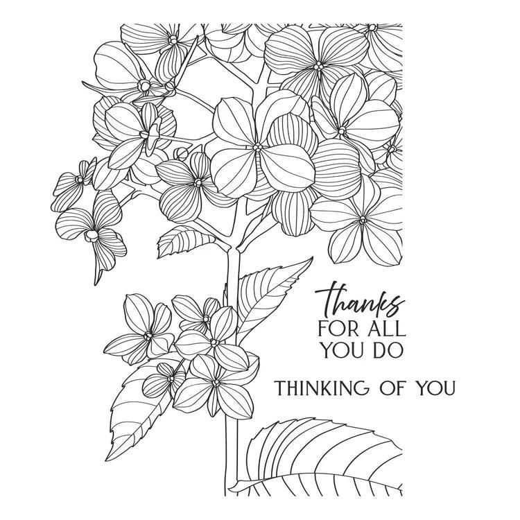 Spellbinders - Create Your Way Everyday Collection - Letterpress + Foil Plate - Thanks in Bloom-ScrapbookPal